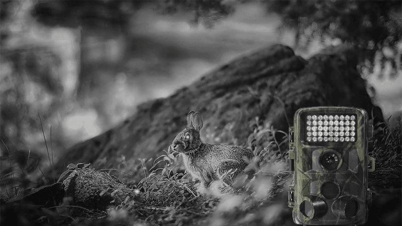 Wild hunting camera (Military Green)