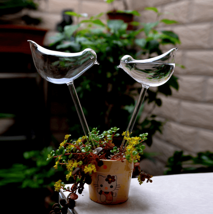 Glass Automatic Self Watering Bird Watering Cans Flowers Plant Decorative Clear Glass Watering Device Houseplant - MRSLM