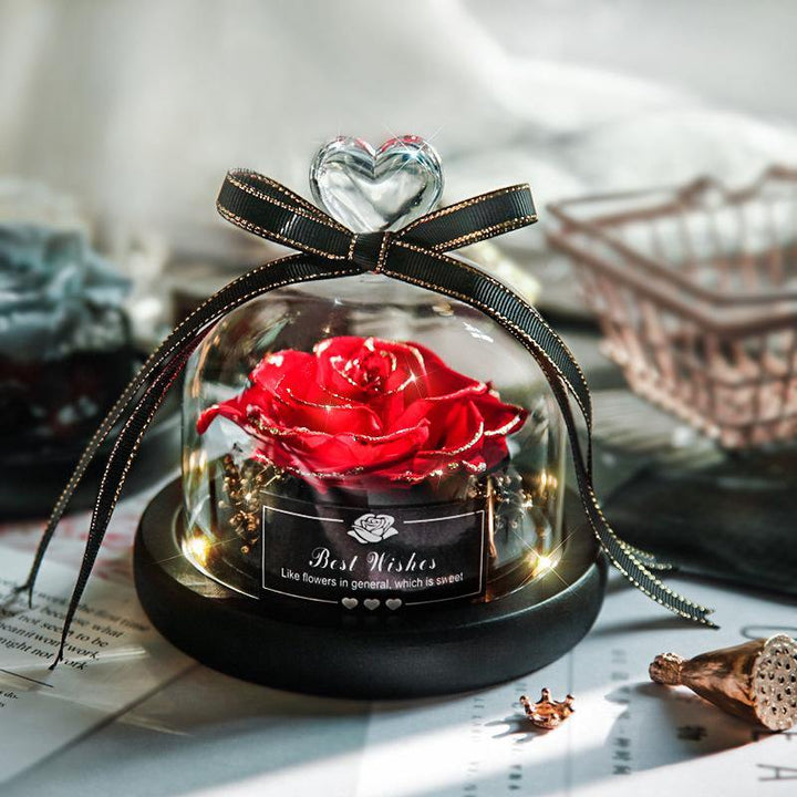 Dried Flowers The Beauty And Beast Eternal Real Rose Home Decor With LED in Glass