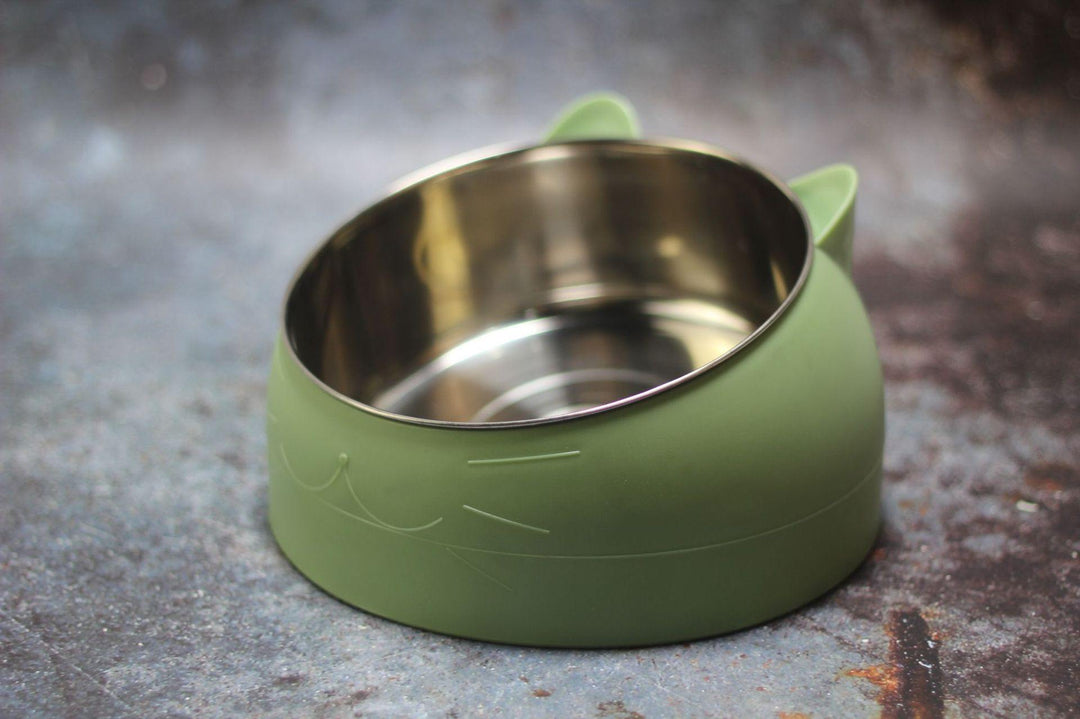 Protective Cervical Cat Bowl Oblique Mouth Pet Bowl - MRSLM