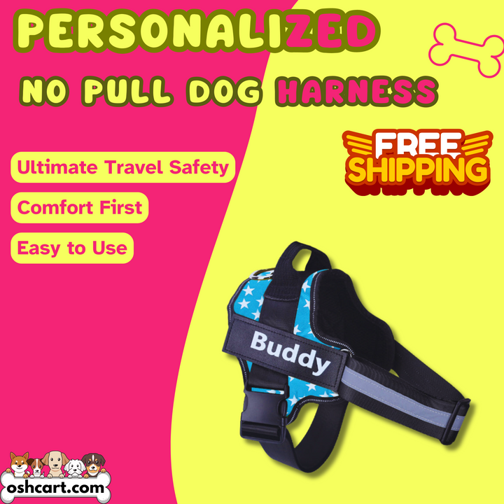 Zylo Personalized Dog Harness