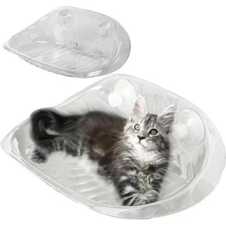 Zylo Transparent Cat Basket - Perfect Perch for Cats