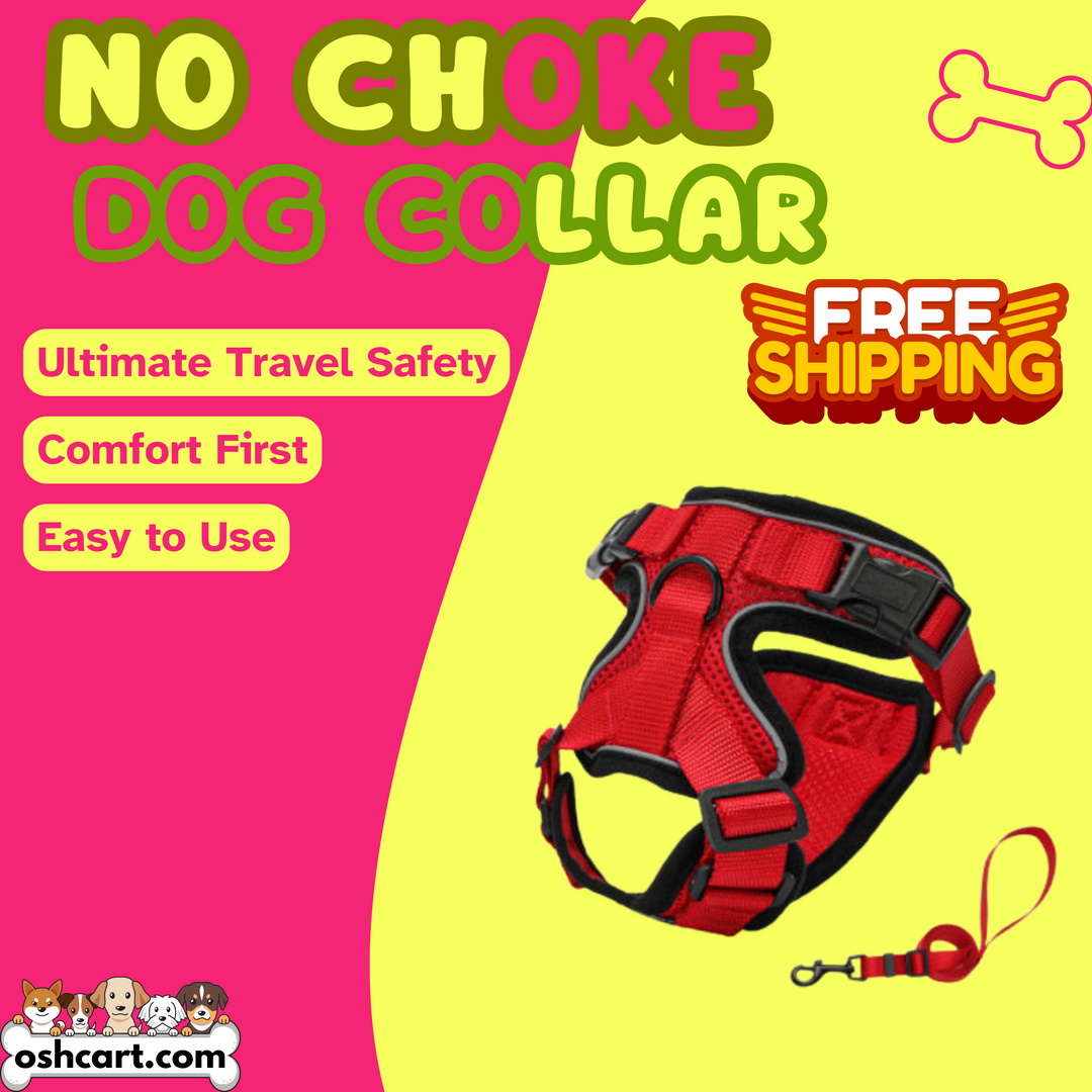 Zylo No-Choke Dog Collar