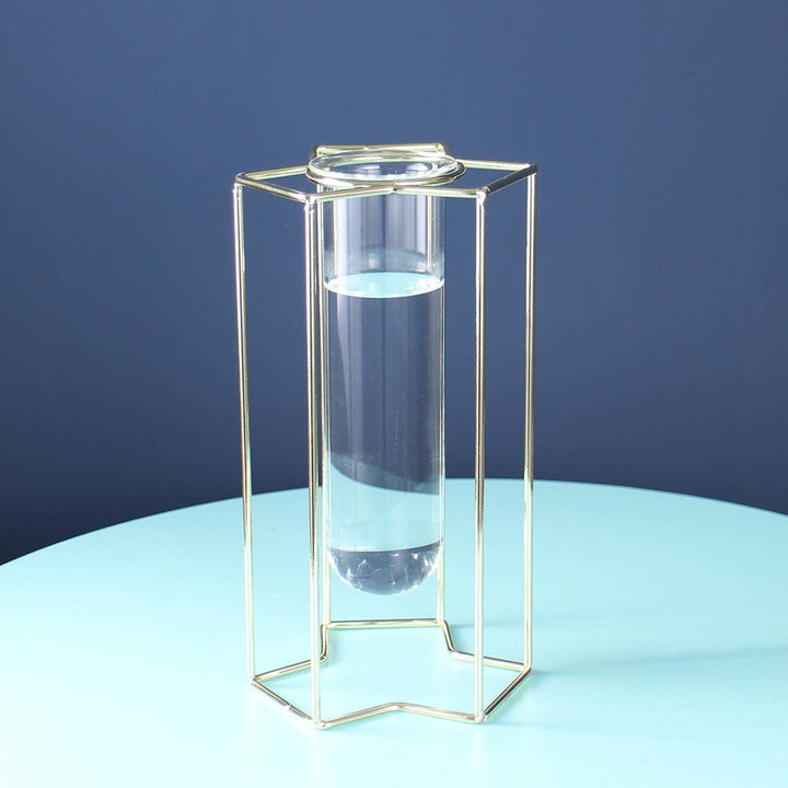 Hydroponic Glass Vase