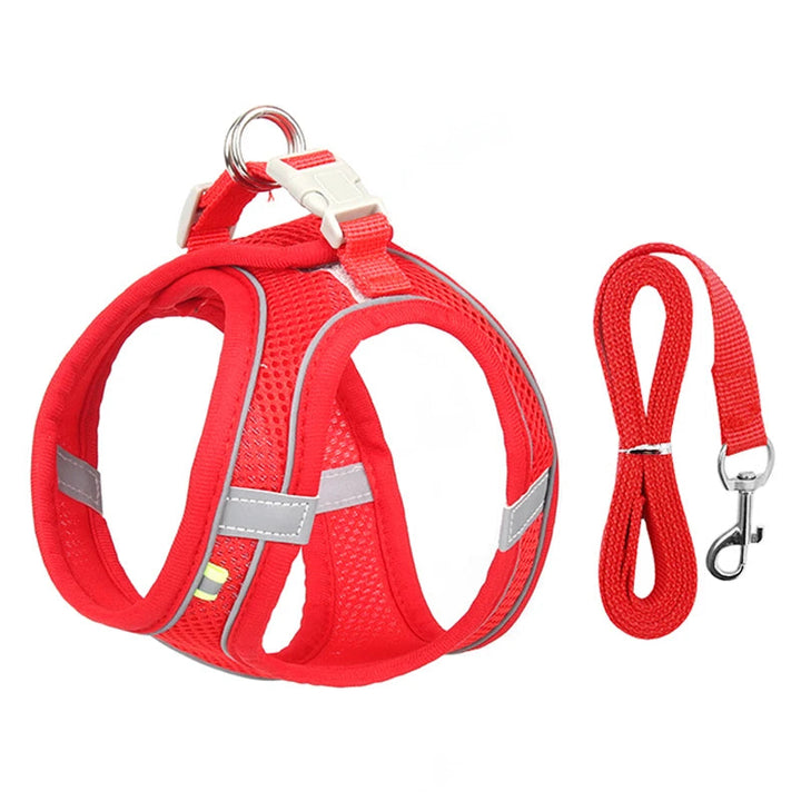 Adjustable Summer Mesh Harness and Leash Set for Small Dogs and Cats