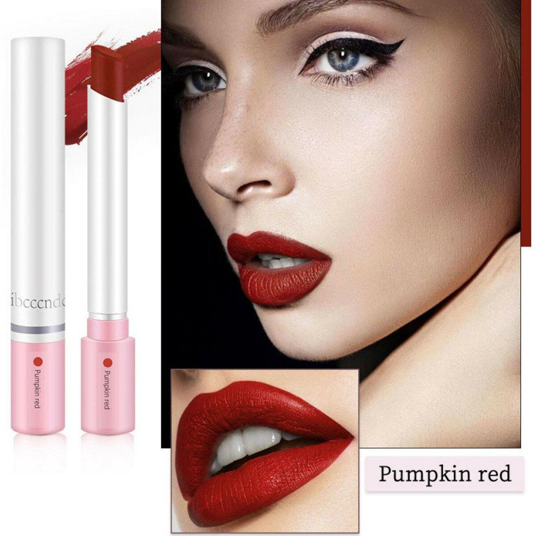 4pcs/Set Lipstick Kit Matte Velvet long-lasting Pipe Lipstick Makeup