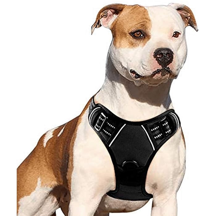 Zylo No-Choke Dog Collar