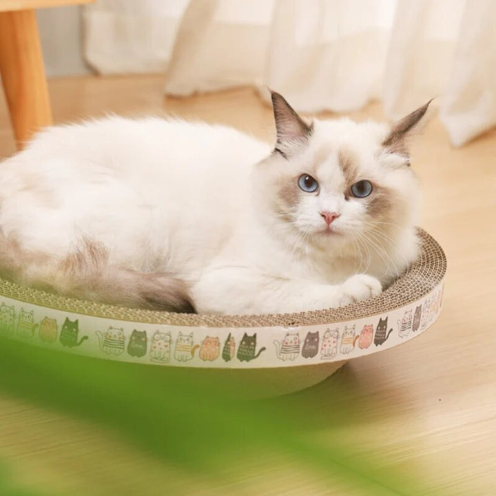 Durable Cat Scratcher Bed