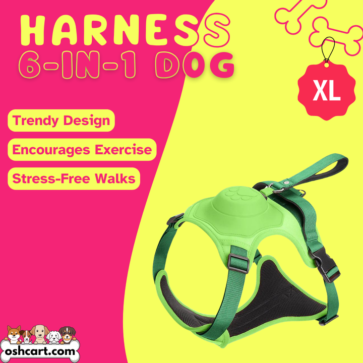 Zylo 6-In-1 Dog Harness