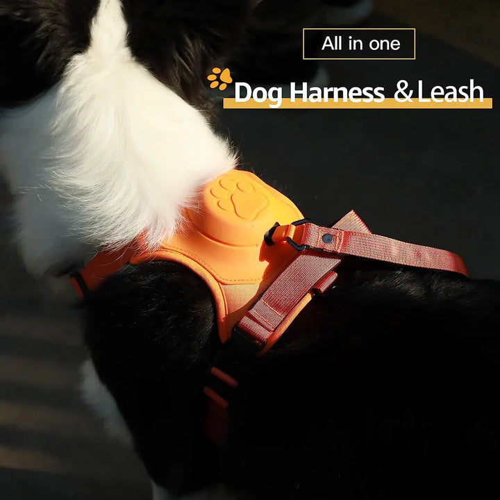 Zylo 6-In-1 Dog Harness