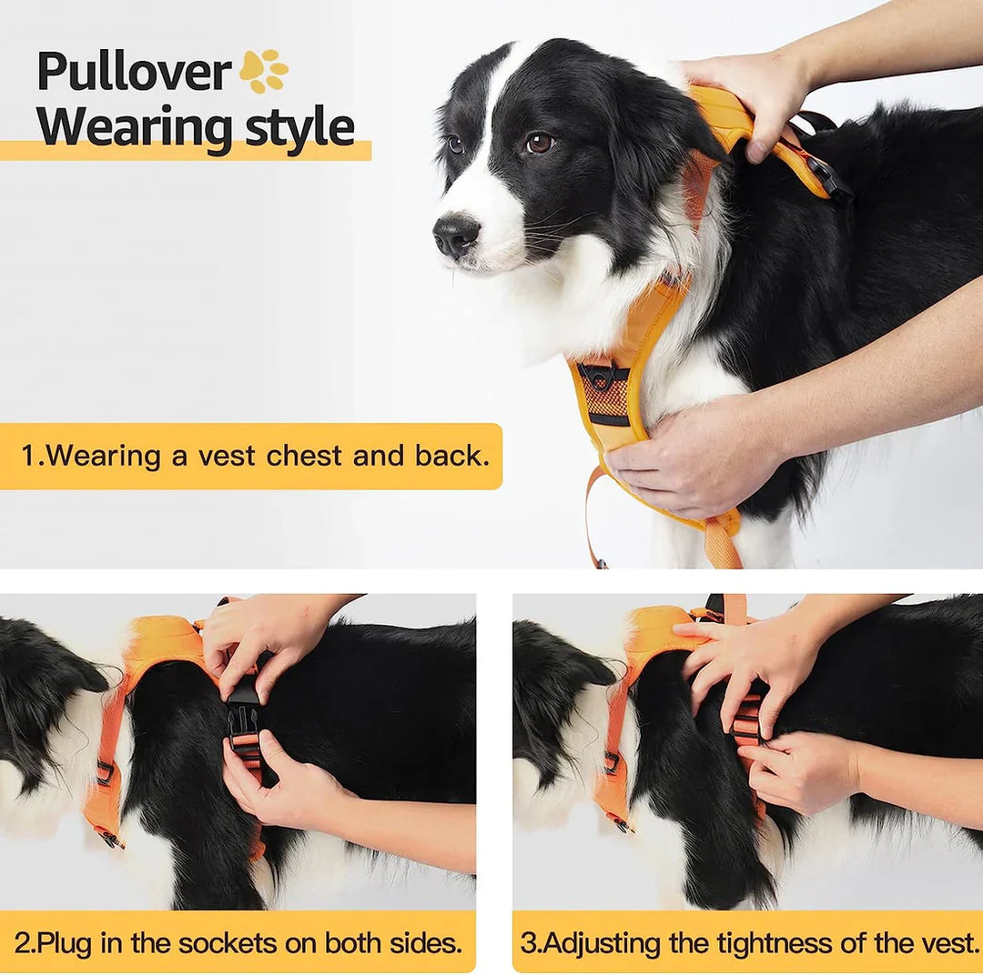 Zylo 6-In-1 Dog Harness