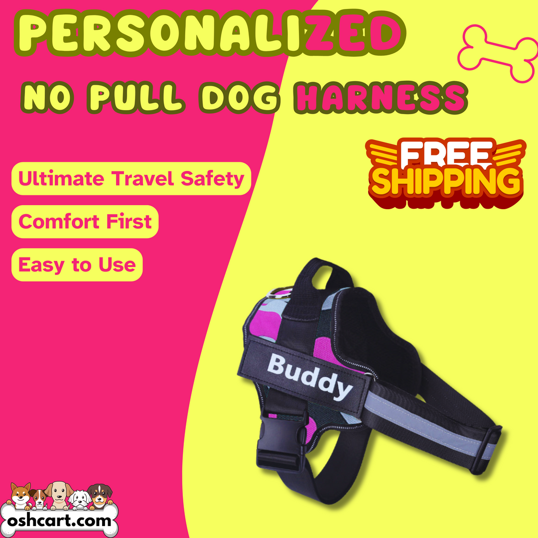 Zylo Personalized Dog Harness