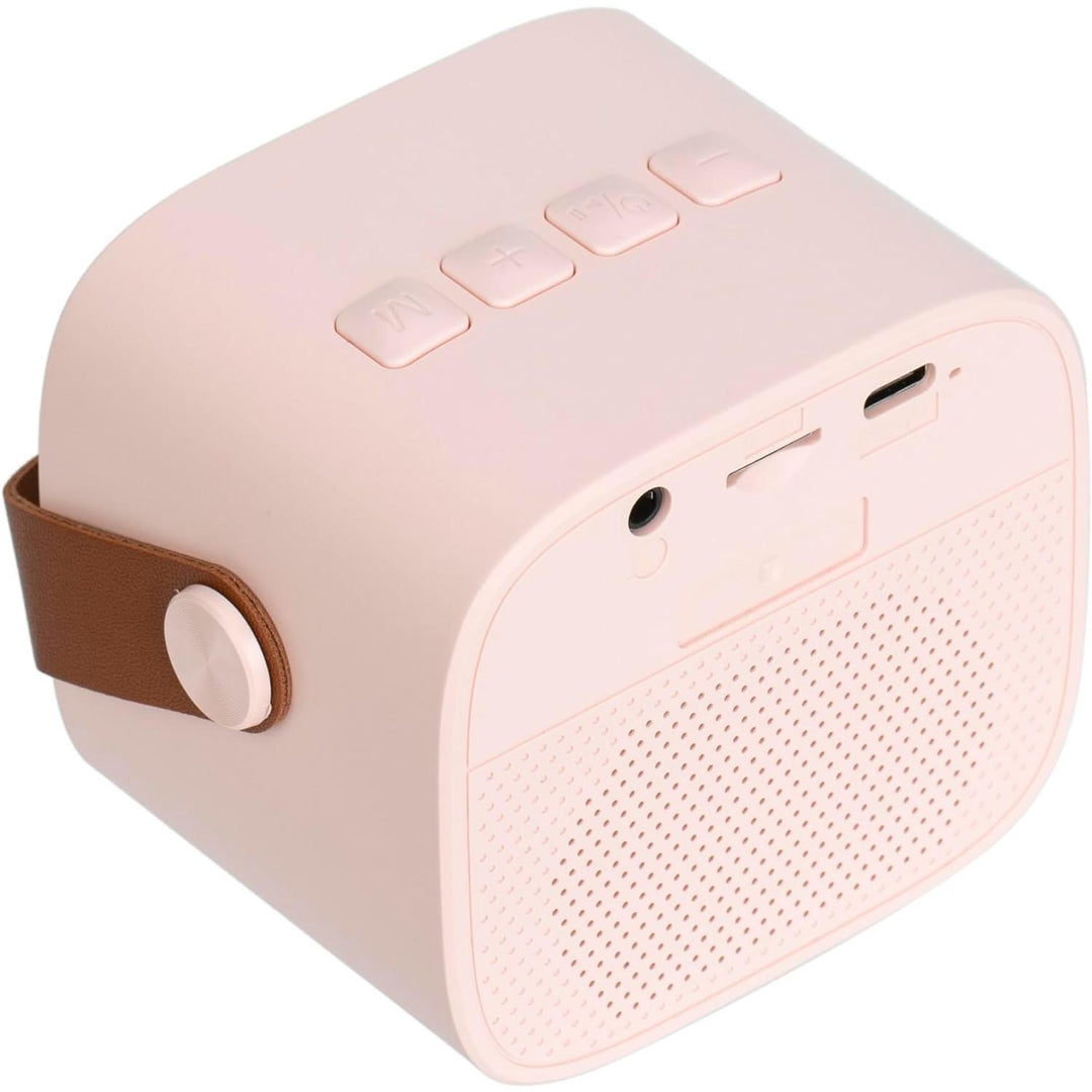 Portable Bluetooth Karaoke Speaker System with Wireless Microphones