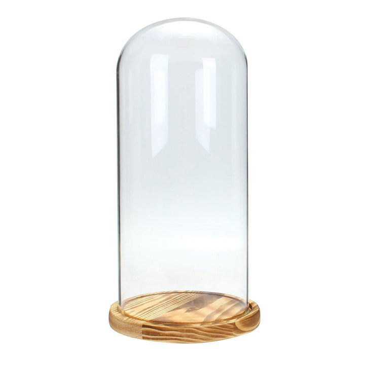 33x15cm Glass Dome Wooden Base Cloche Bell Jar Display Stand Micro Landscape Dried Flower DIY Vase