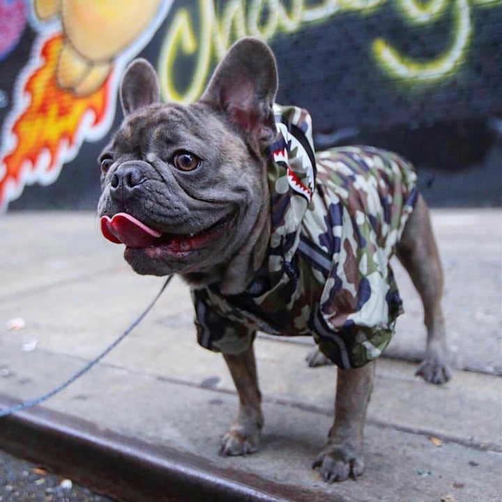 Dog Clothes Adidog Camouflage French Bulldog Pupreme Shirt Dog Camo Windbreaker