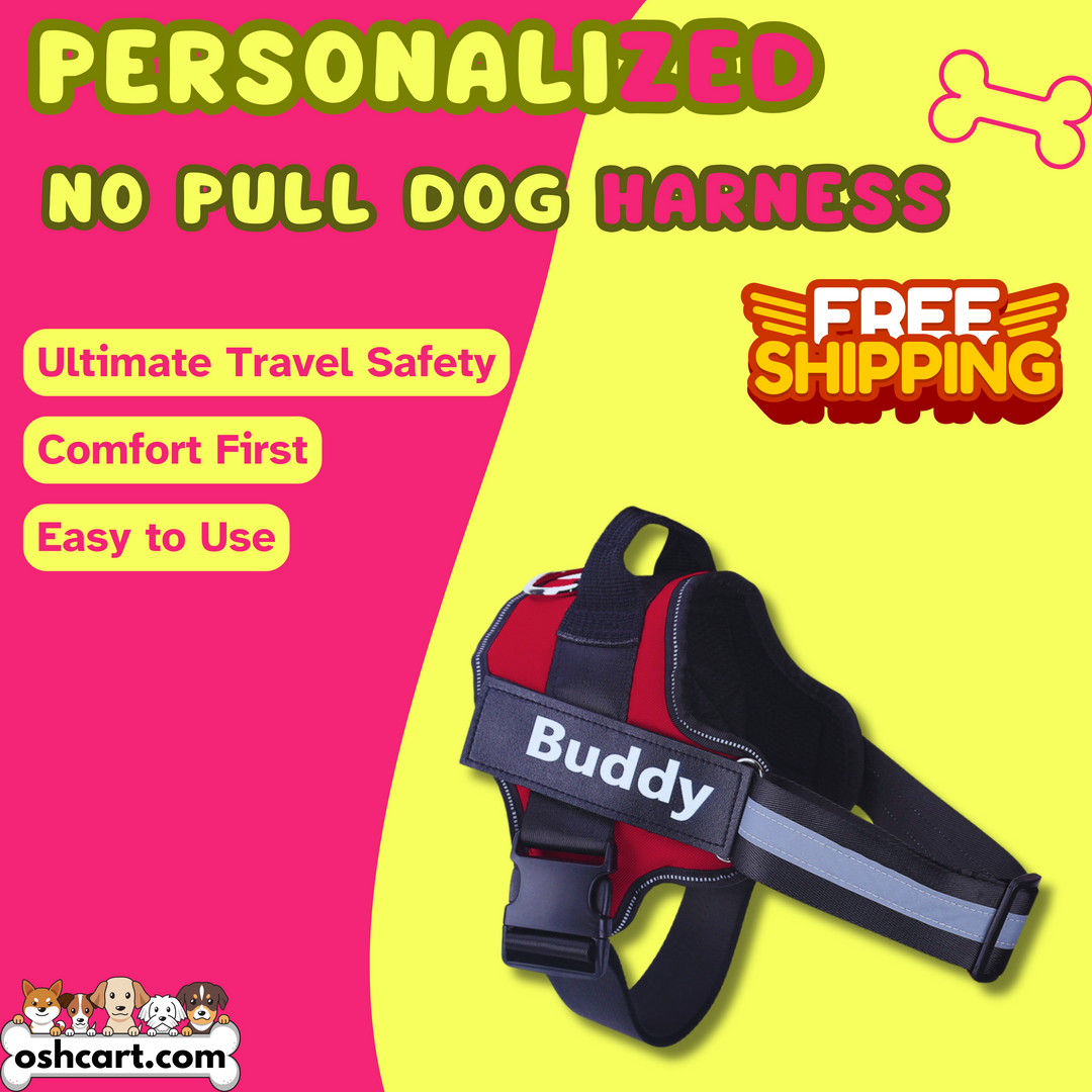 Zylo Personalized Dog Harness