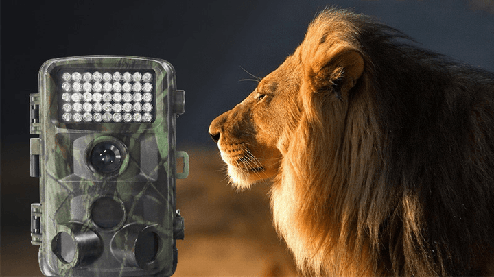 Wild hunting camera (Military Green)