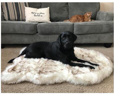 Fluffy Long Plush Warm Pet Blanket - MRSLM