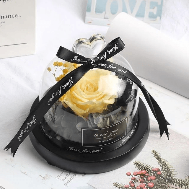 Dried Flowers The Beauty And Beast Eternal Real Rose Home Decor With LED in Glass - MRSLM