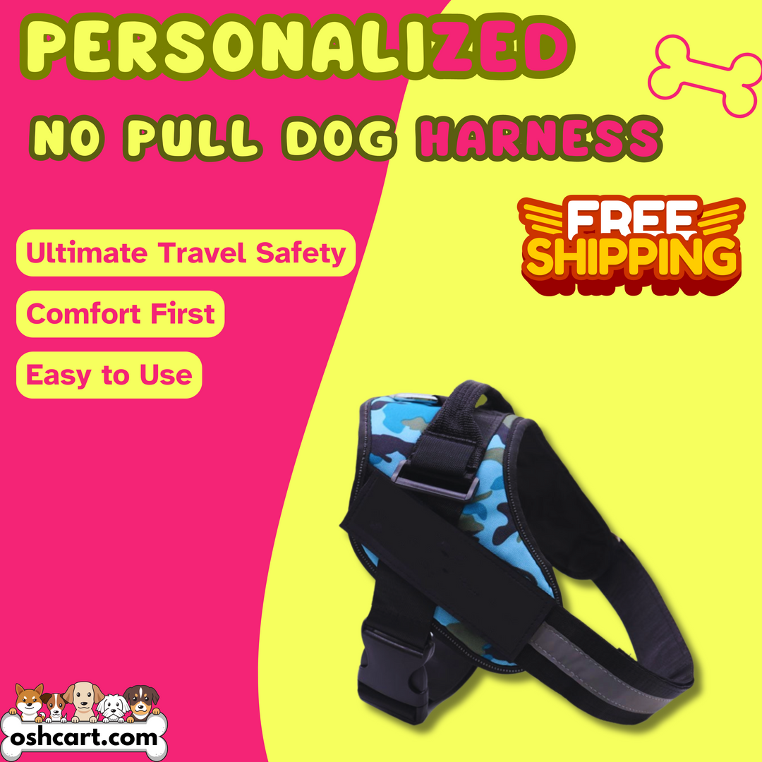 Zylo Personalized Dog Harness