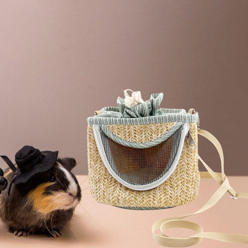 Portable Travel Pet Carrier