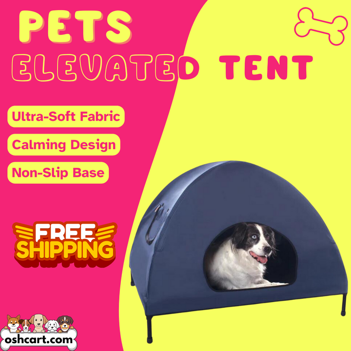 Zylo Elevated Pet Tent - Ultimate Comfort & Security