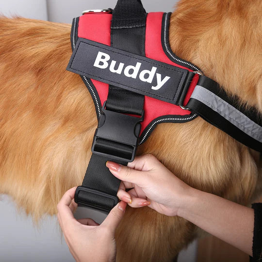 Zylo Personalized Dog Harness