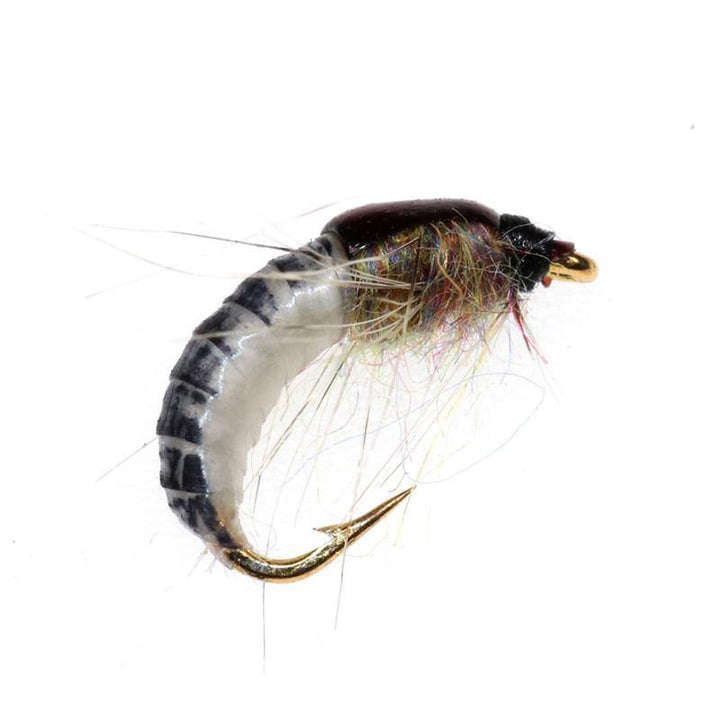 Hot 6Pcs/Set #12 Realistic Nymph Scud Fly for Trout Fishing Artificial Insect Bait Lure Simulated Scud Worm Fishing Lure (1)