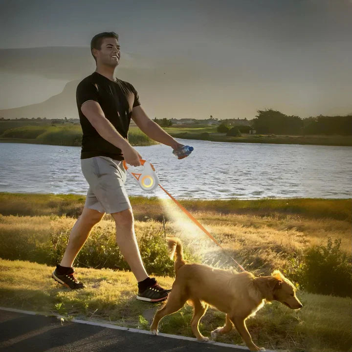 Zylo LED Retractable Dog Leash - Ultimate Nighttime Safety