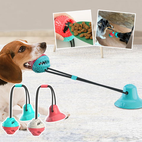 Zylo Suction Cup Dog Toy with Rope