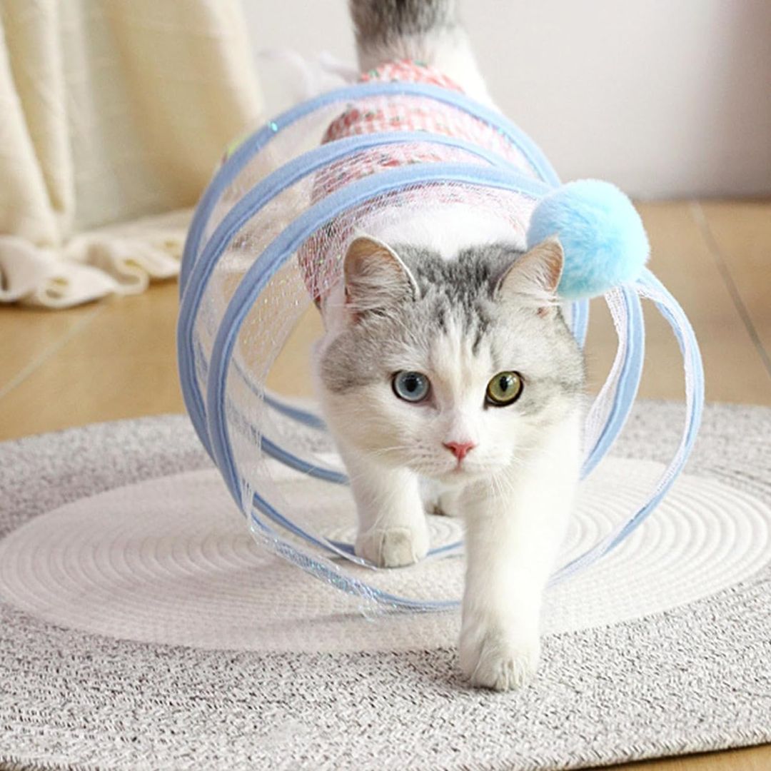 Zylo Spiral Joy Cat Tunnel