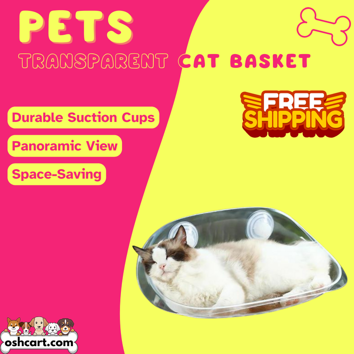 Zylo Transparent Cat Basket - Perfect Perch for Cats