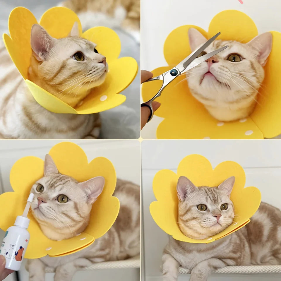 Yellow Flower Shaped Pet Protective Anti-Bite Lick Neck Collar