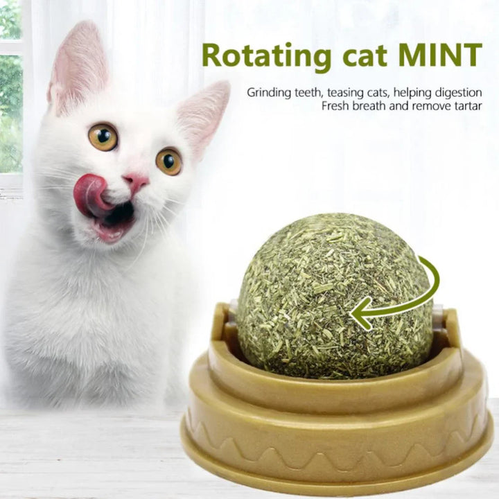 Catnip Toy Balls - Interactive Licking Snack with Molar Teeth Benefits for Cats