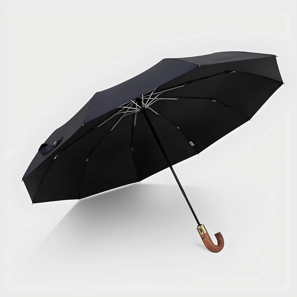 Luxury Windproof Folding Golf Umbrella