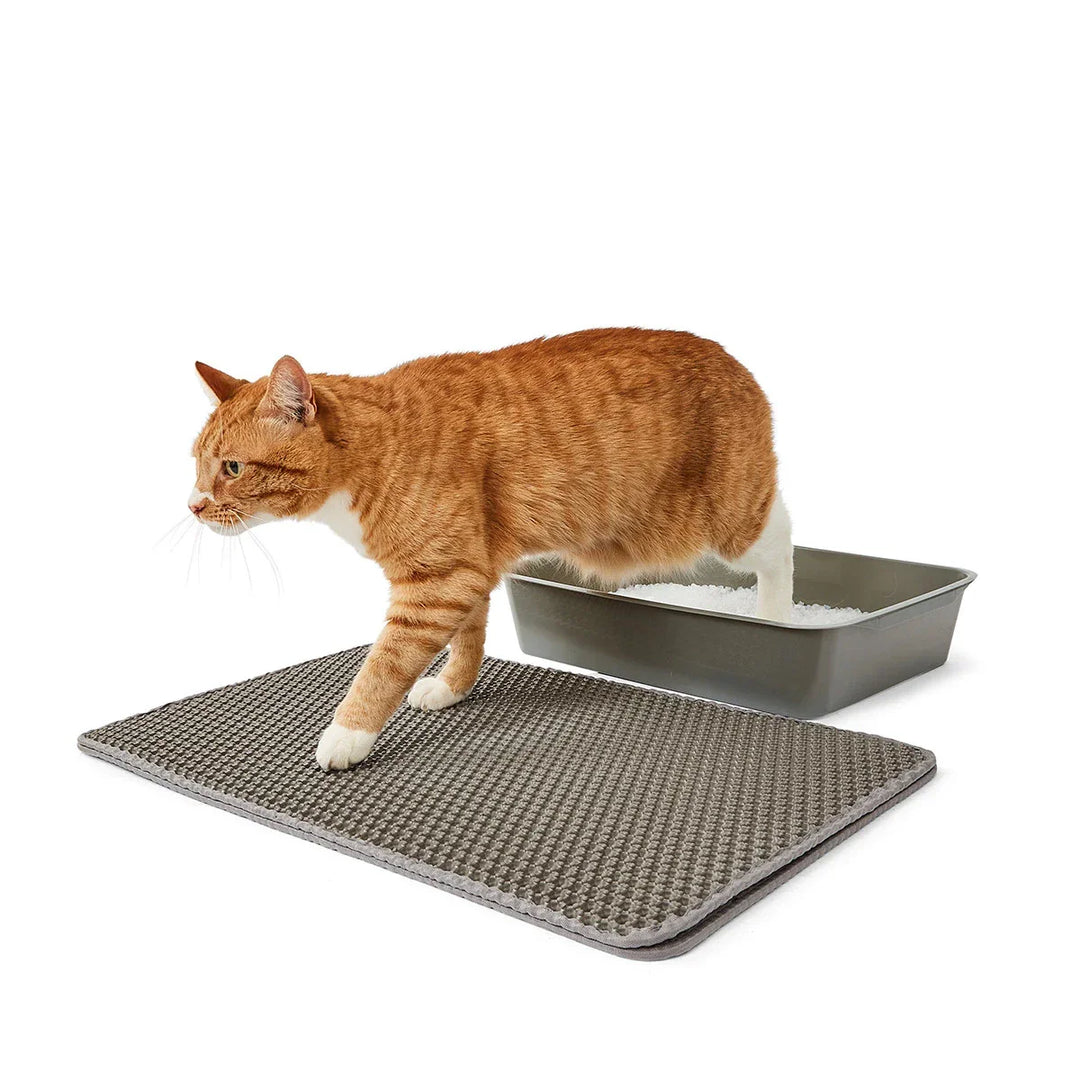 Waterproof Double Layer Cat Litter Mat