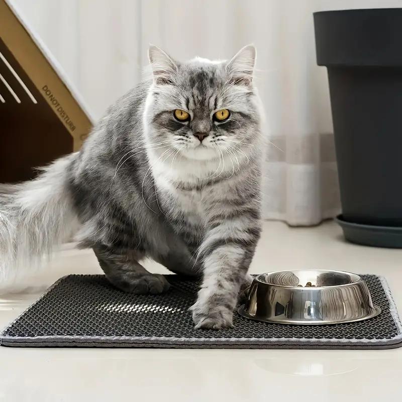 Waterproof Double Layer Cat Litter Mat