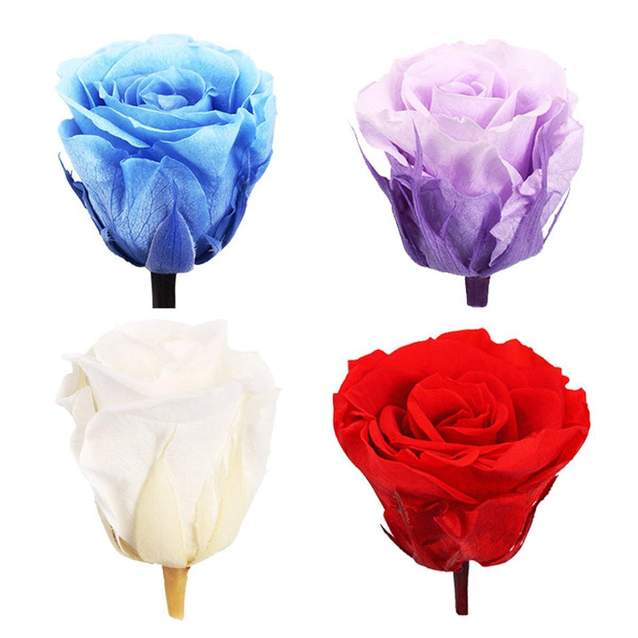 12pcs Romantic Preserved Forever Rose Flowers 3-4cm Wedding Valentine's Day Decorations