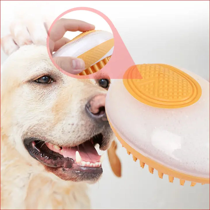 Zylo Pet Massage Brush with Revolutionize Grooming