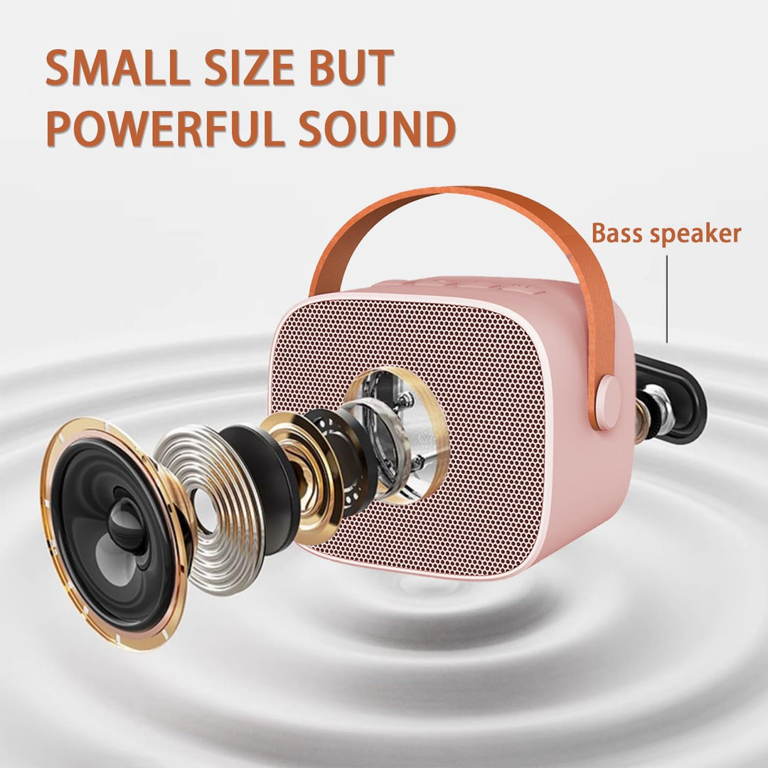 Portable Bluetooth Karaoke Speaker System with Wireless Microphones