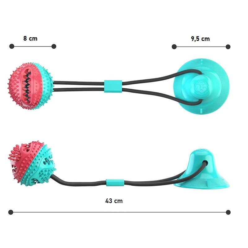 Zylo Suction Cup Dog Toy with Rope